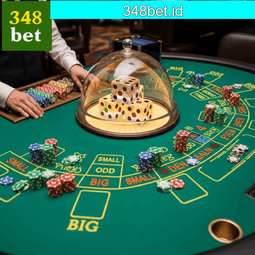 348BET: Seu Cassino Online Seguro e Rápido
